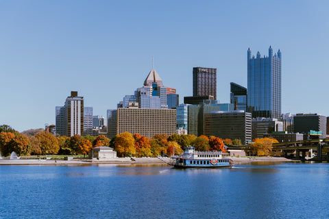 A view of a city from across a lake