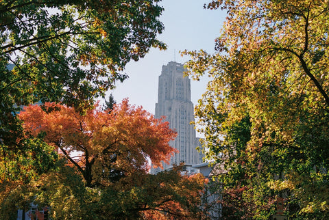 A view of a tall building from a park
