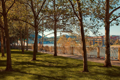 The Yinzer's Ultimate Checklist for a Perfect Pittsburgh Weekend - YinzerShop