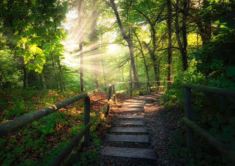 Tuck Away To These Quaint Spots In Pittsburgh For A Calming Day Out! - YinzerShop