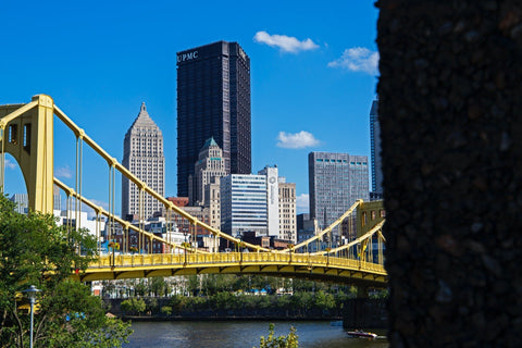Unraveling the Legacy: The Rooney Family and the Famous Pittsburgh Steelers - YinzerShop