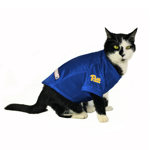 University of Pittsburgh Pet Stretch Jersey University of Pittsburgh Little Earth Productions   