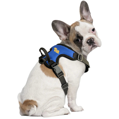 University of Pittsburgh Front Clip Pet Harness University of Pittsburgh Little Earth Productions   