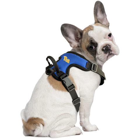 University of Pittsburgh Front Clip Pet Harness Pet Harness Little Earth Productions   