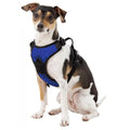 University of Pittsburgh Front Clip Pet Harness Pet Harness Little Earth Productions   