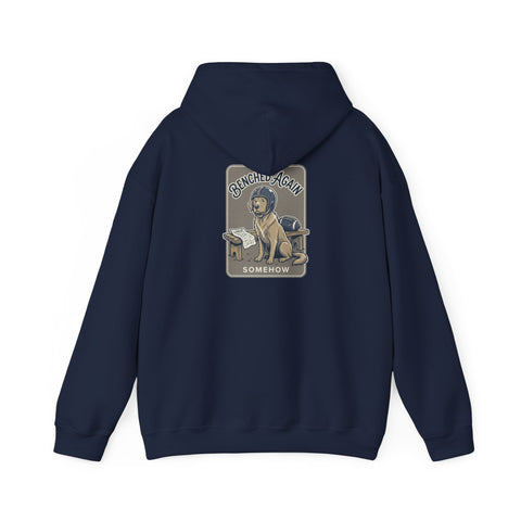 Football Pocket Hoodie with 'Somehow' Labrador Vintage Poster Back