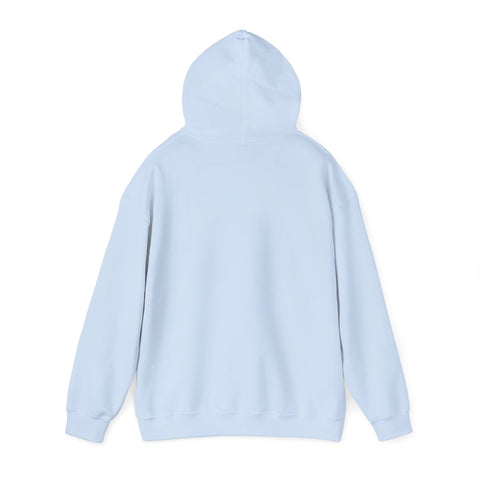 Respect the Locals vintage national park hoodie | Protect Our National Parks, retro outdoors