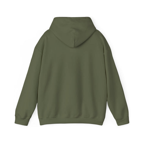 Respect the Locals vintage national park hoodie | Protect Our National Parks, retro outdoors