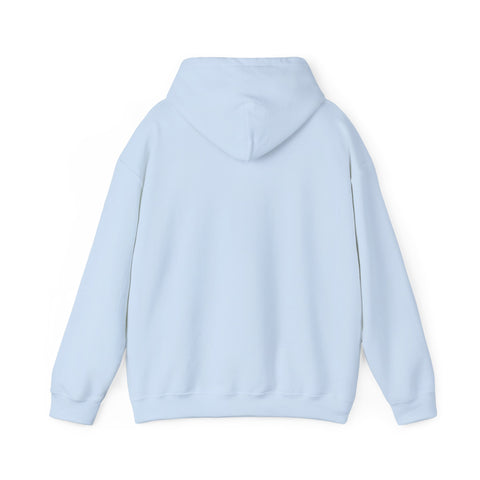 Respect the Locals vintage national park hoodie | Protect Our National Parks, retro outdoors