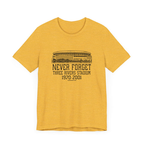 Never Forget: Three Rivers Stadium Retro Tribute T-Shirt