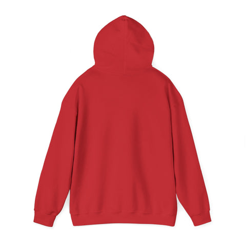 go team embroidered minimalist hoodie | simple sports slogan