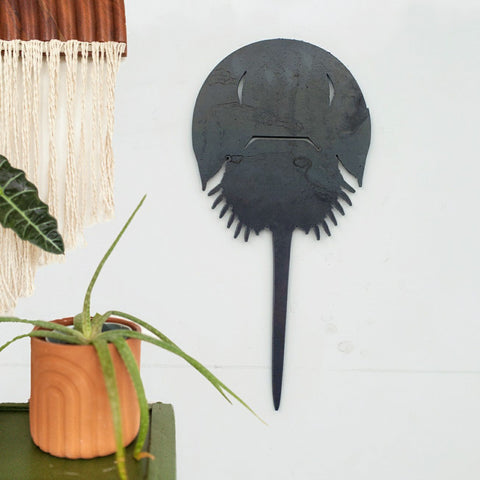 Horseshoe Crab Wall Decor