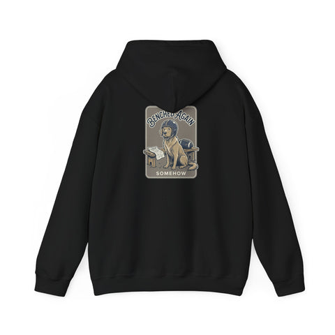 Football Pocket Hoodie with 'Somehow' Labrador Vintage Poster Back