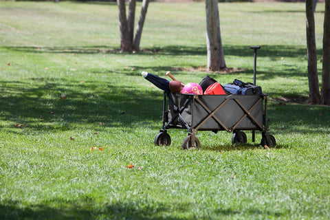 Ohio State Buckeyes - Adventure Wagon Portable Utility Wagon  Picnic Time Family of Brands   