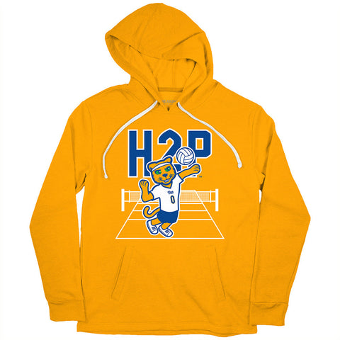 Pitt Volleyball: Roc Logo