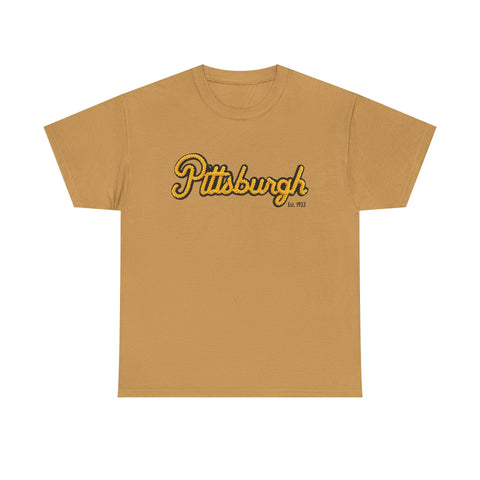 Pittsburgh Faux Embroidery Unisex Heavy Cotton Tee