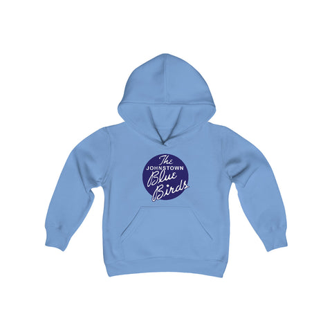 Johnstown Blue Birds Hoodie (Youth)  Vintage Ice Hockey Carolina Blue S 