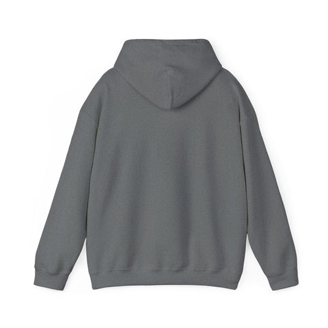 Respect the Locals vintage national park hoodie | Protect Our National Parks, retro outdoors