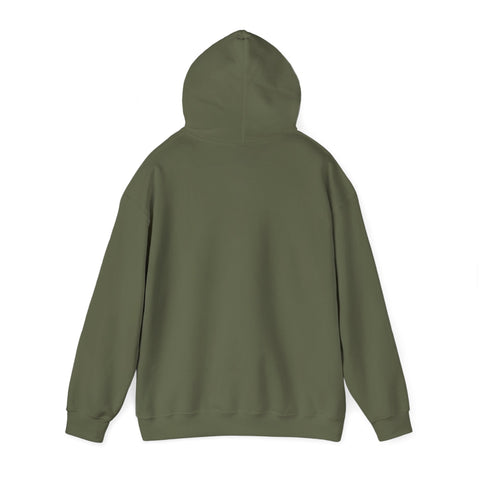 Respect the Locals vintage national park hoodie | Protect Our National Parks, retro outdoors