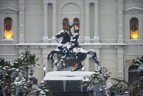 So Much Snow! A Joyous Celebration of the 2025 Louisiana Snowstorm