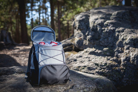 Ohio State Buckeyes - PTX Backpack Cooler  Picnic Time Family of Brands   