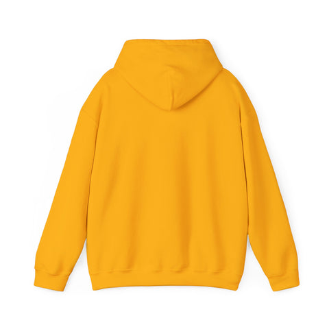Respect the Locals vintage national park hoodie | Protect Our National Parks, retro outdoors