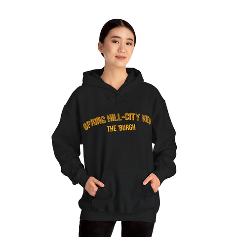 Spring Hill-City View - The 'Burgh Neighborhood Series - Unisex Heavy Blend™ Hooded Sweatshirt