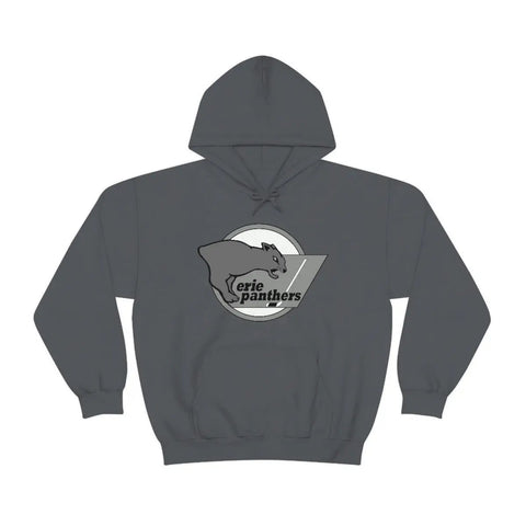 Erie Panthers Hoodie  Vintage Ice Hockey Charcoal S 