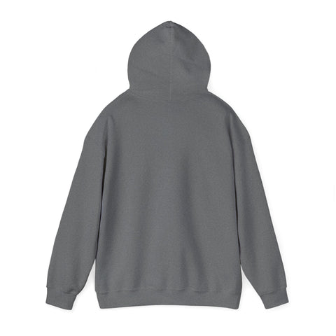Respect the Locals vintage national park hoodie | Protect Our National Parks, retro outdoors