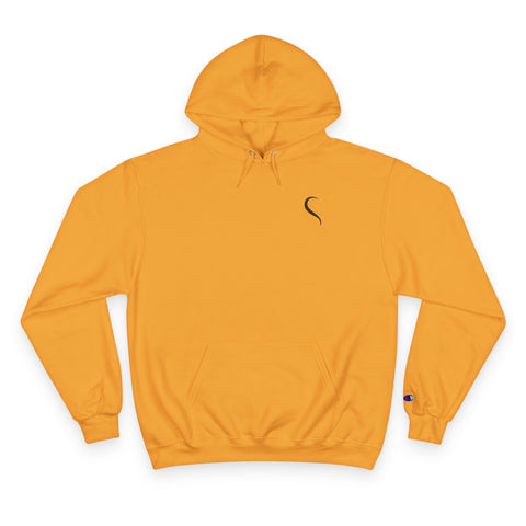 Pittsburgh Grunge - Print on back - Champion S700 Hoodie