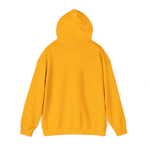 Respect the Locals vintage national park hoodie | Protect Our National Parks, retro outdoors
