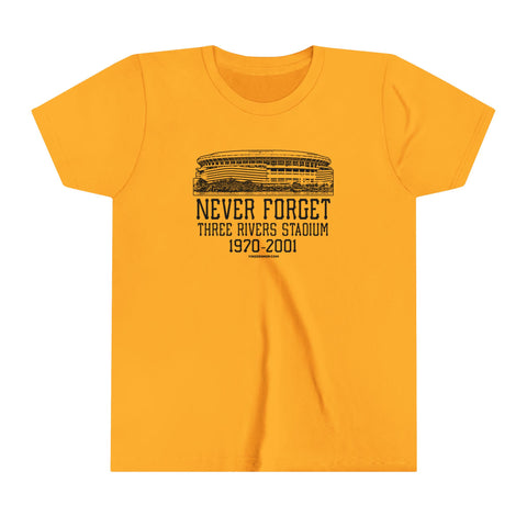 Never Forget Pittsburgh Three River Stadium - Youth Short Sleeve Tee Kids clothes Printify Gold S