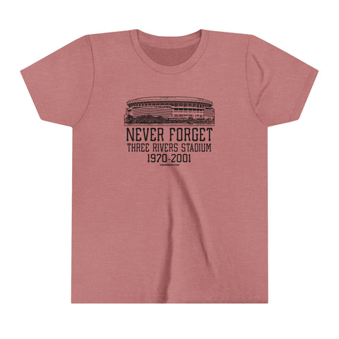 Never Forget Pittsburgh Three River Stadium - Youth Short Sleeve Tee Kids clothes Printify Heather Mauve S