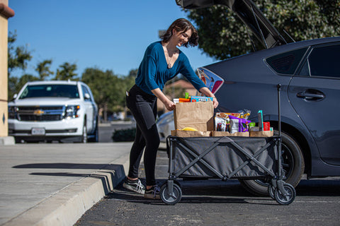 Penn State Nittany Lions - Adventure Wagon Portable Utility Wagon  Picnic Time Family of Brands   