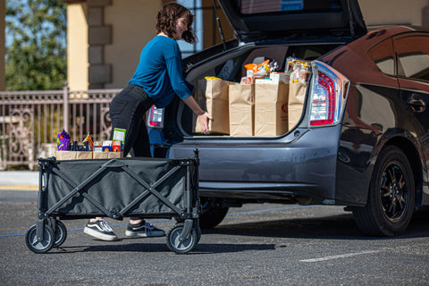 Pittsburgh Panthers - Adventure Wagon Portable Utility Wagon Utility Wagon Picnic Time Family of Brands   