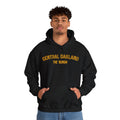 Central Oakland - The 'Burgh Neighborhood Series - Unisex Heavy Blend™ Hooded Sweatshirt Hoodie Printify