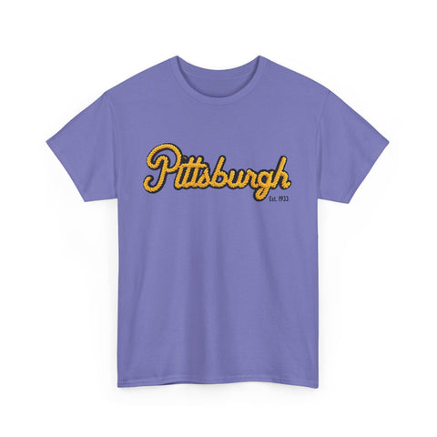 Pittsburgh Faux Embroidery Unisex Heavy Cotton Tee