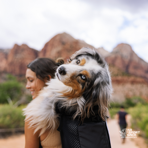 Knavigate | Advanced Dog Carrier with Internal Frame & Hip Belt