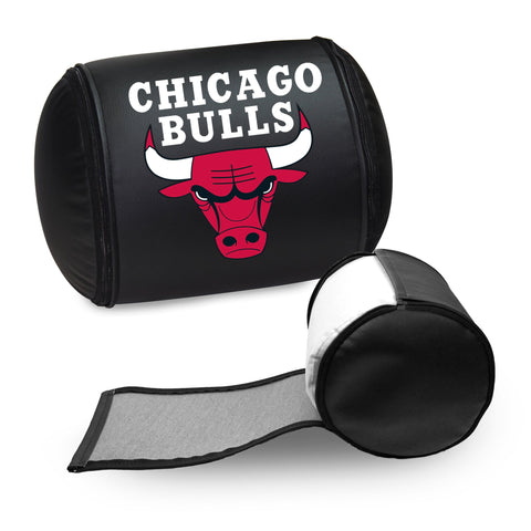 Chicago Bulls Logo Panel
