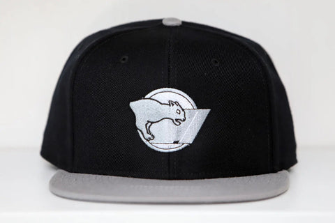 Erie Panthers Hat (Snapback)  Vintage Ice Hockey   