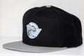 Erie Panthers Hat (Snapback)  Vintage Ice Hockey   