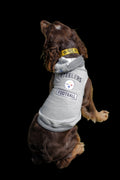 Pittsburgh Steelers Terrible Towel® Pet Collar Collar Little Earth Productions   