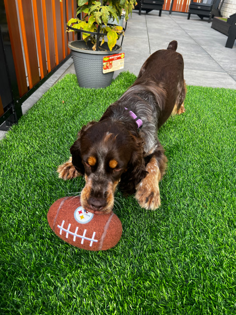 Pittsburgh Steelers Tough Chewer Dog Football Toy - Officially Licensed Pet Toy Little Earth Productions   