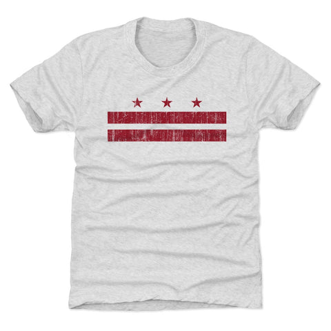 Washington D.C. Flag