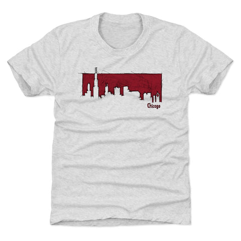 Chicago Illinois Skyline