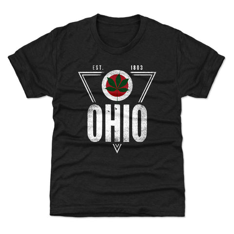 Ohio Established Triangle WHT