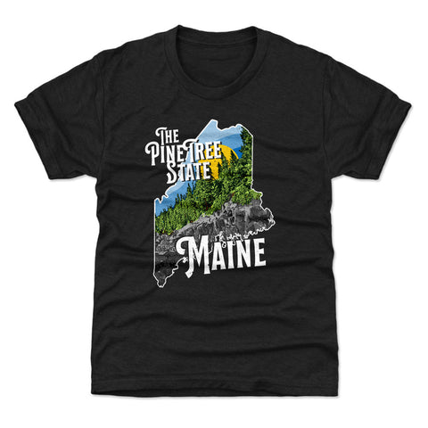 Maine The Pine Tree State Silhouette WHT