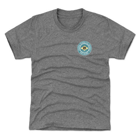 Delaware State Flag Emblem WHT