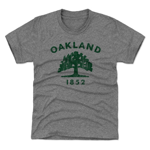 Oakland California Flag