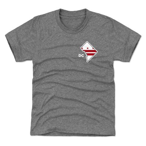 Washington D.C. Flag Silhouette WHT